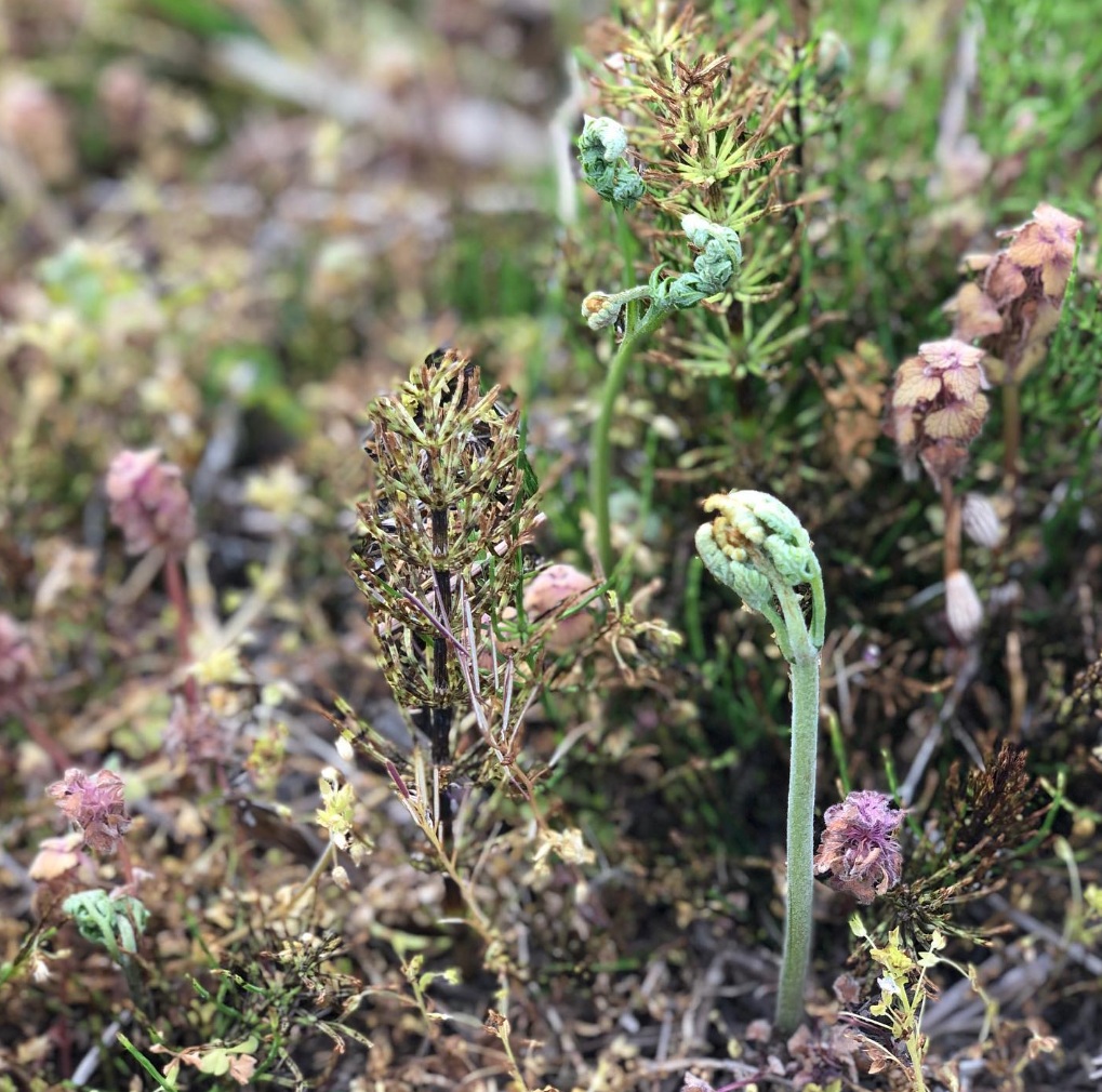 HPをリニューアルしました